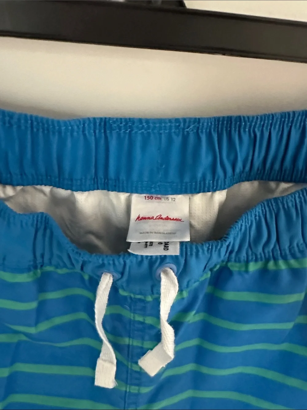 Hanna Andersson Blue and Green Striped Swim Trunks